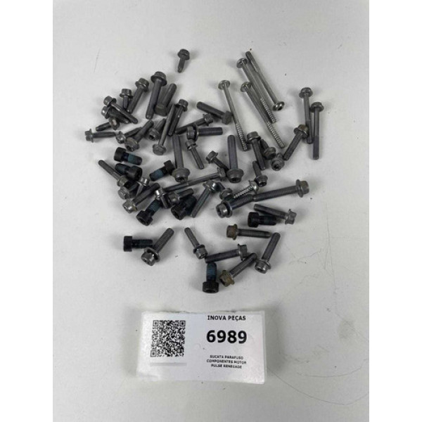 Sucata Parafuso Componentes Motor Pulse Renegade