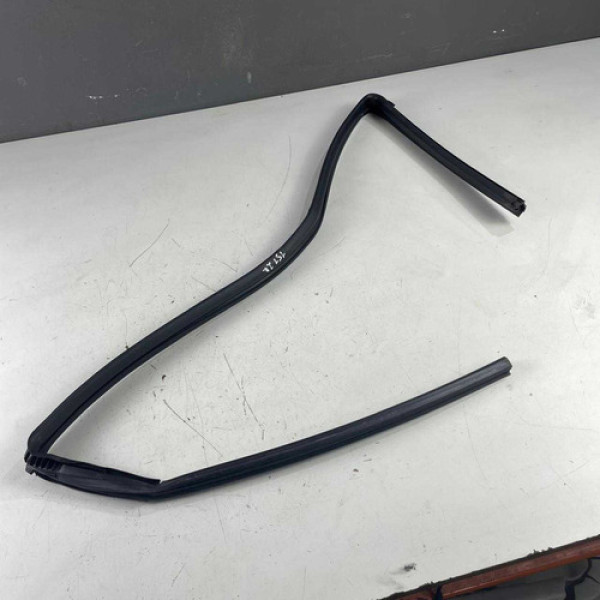 Borracha Canaleta Dianteira Direita Nissan 2019