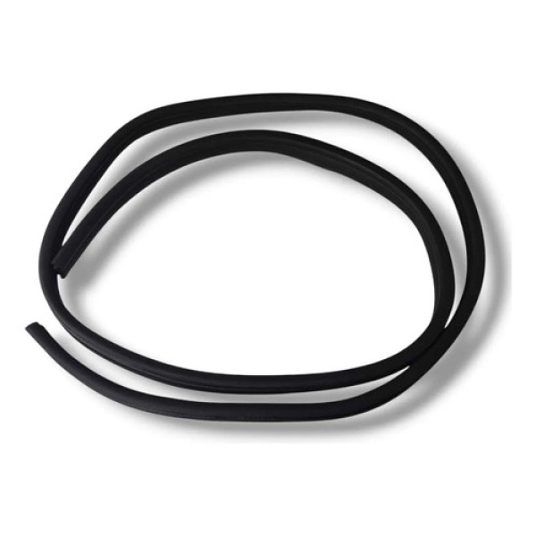 Borracha Porta Traseira Esquerda Ecosport 2013 2017