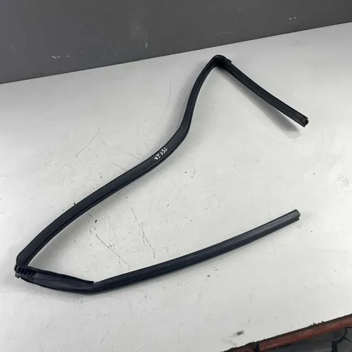 Borracha Canaleta Dianteira Direita Nissan 2019